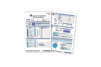 Health Report